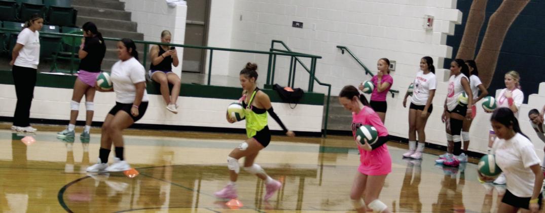 Lady Lions glow in Midnight Madness