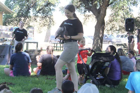 Quilly Nelson, an African porcupine, makes its way through audience members who got to see the animal up close, though were not allowed to touch it. Wyndi Veigel-Gaudette | Citizen staff photo