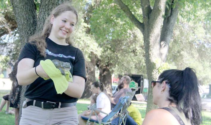Jabba, an African burrowing bullfrog, met Dublin at the Creature Teacher event at the Dublin Public Library. The frog was only a ‘toddler’ in frog ages and will grow to be four pounds. Wyndi Veigel-Gaudette | Citizen staff photo