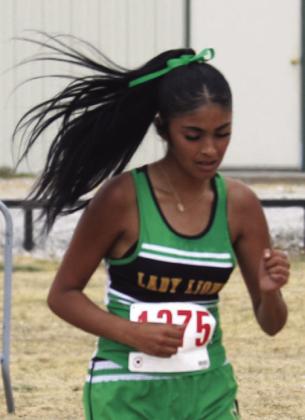 Dublin teams take top titles at Dash