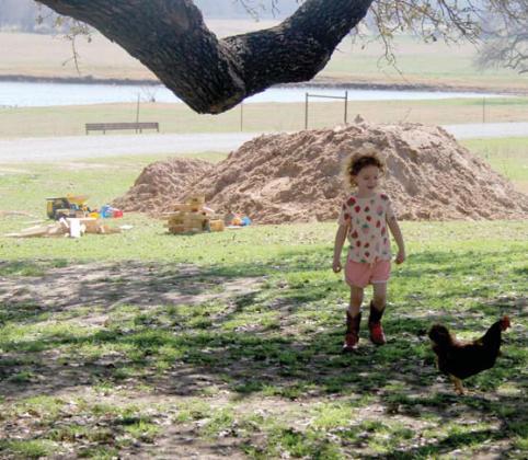 Kids of all ages enjoy getting to play with barnyard animals. Wyndi Veigel-Gaudette | Citizen staff photo