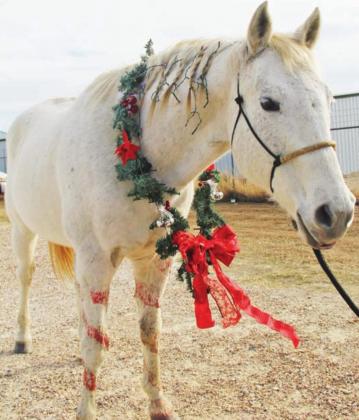 Grinch has heart for Humane Society