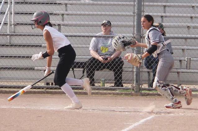 Dublin Lady Lion Olivia Salyer