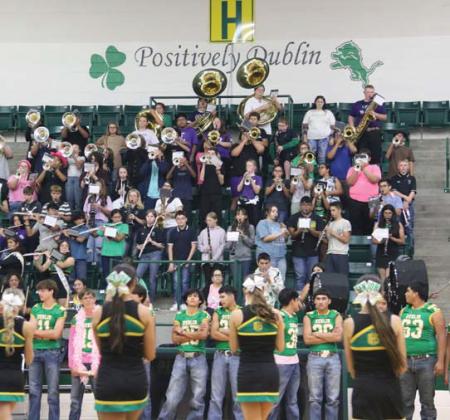 Lion Pride