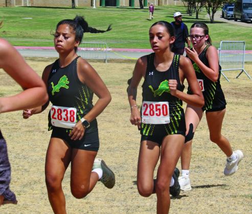 Ismari Molina, Amilliana Torres and Remi Chapman