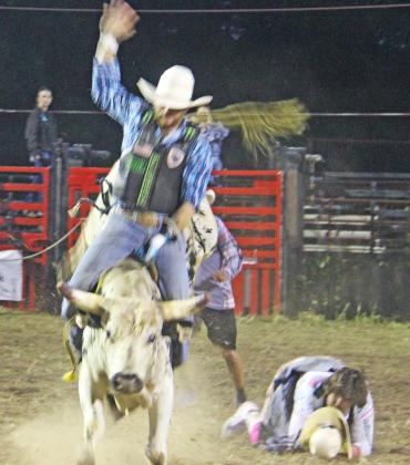bullrider tries to hold for 8 seconds