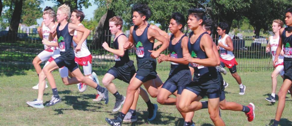 Dublin teams take top honors at Dash