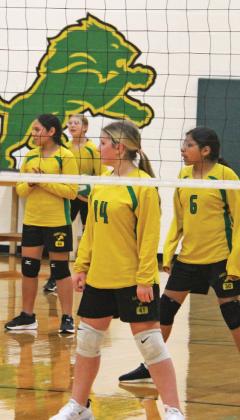 Dublin Lady Lions 8A (top left). 7A (left), 7B (above) and 8B (bottom left) faced Comanche Maidens on the home volleyball courts Sept. 9. The Jr. High girls will return home Monday, Sept. 23 to face Eastland in games starting at 4:30 p.m. Paul Gaudette | Citizen staff photo