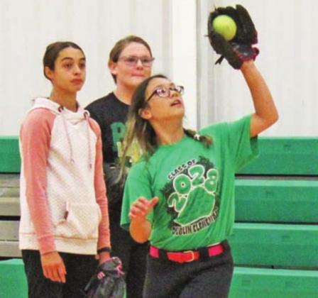 Little Lions, Lady Lions take turn at bat