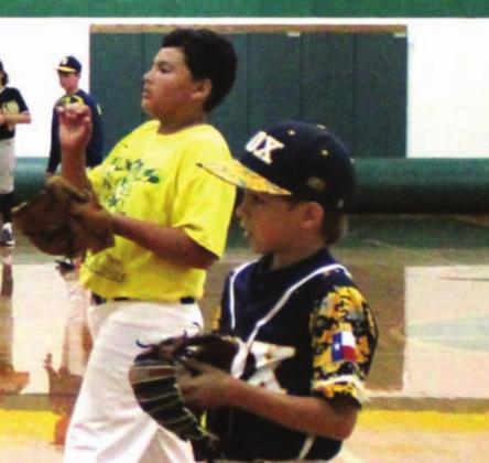 Little Lions, Lady Lions take turn at bat