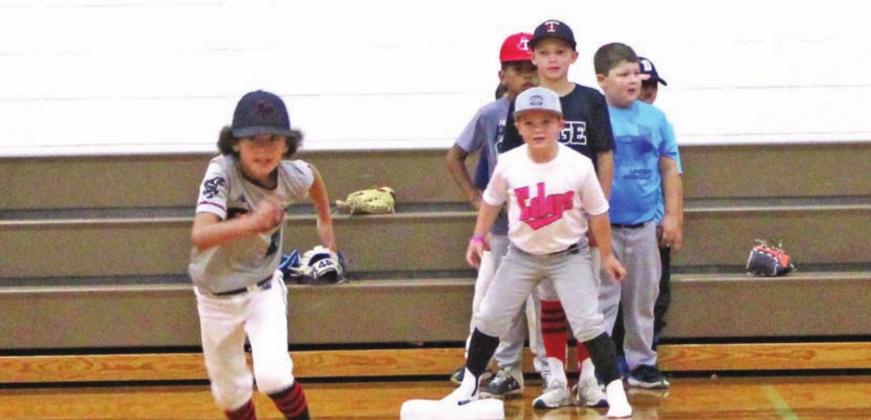 Little Lions, Lady Lions take turn at bat