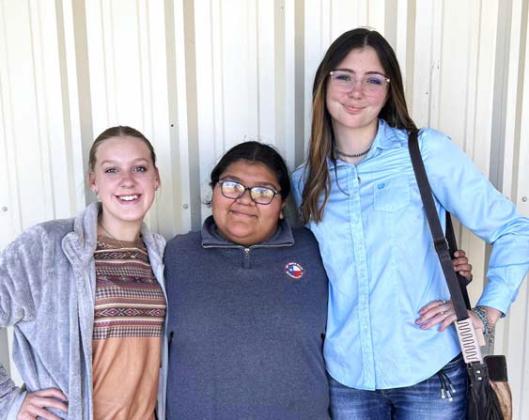 Dublin FFA Wool Judging Team