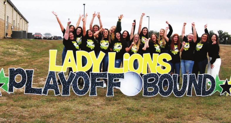 The Dublin Lady Lions
