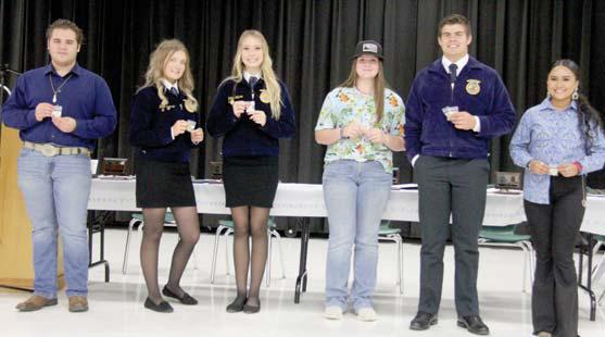 Dublin FFA awards 2023