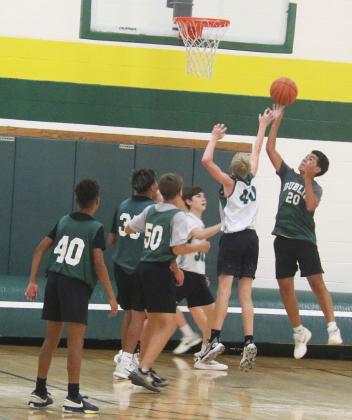 Lions fight through summer play