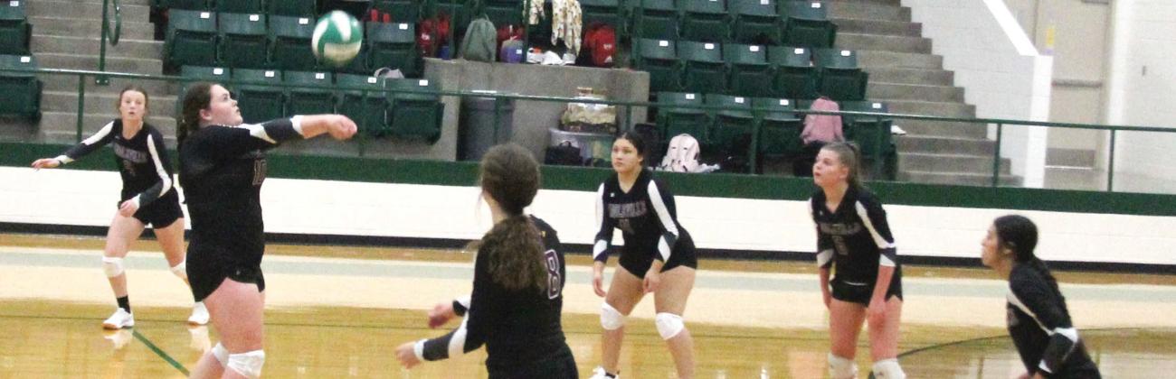 Lingleville Lady Cardinals bumps the ball to return it behind her back to the Hico Lady Tigers during a game at the Dublin Volleyball Tournament on Thursday, Aug. 24. Paul Gaudette | Citizen staff photo