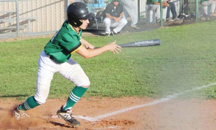 Lions, Lady Lions finish seasons