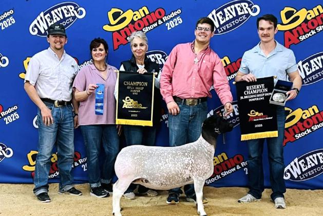 Hudson Moore, son of Lindsay and James Moore, has earned several ribbons in livestock shows already this season. At San Angelo, he exhibited the Grand Champion Dorper Ewe in the Jr. Breeding Show and Open Show (as well as earning 2nd place finishes in two-tooth, aged and little ewes). In San Antonio, he showed the Reserve Champion Dorper Ewe in the Jr. Breeding Show and Grand Champion Doper Ewe in the open breeding show with his aged ewe, Crazy Cool Cat. | Submitted photo