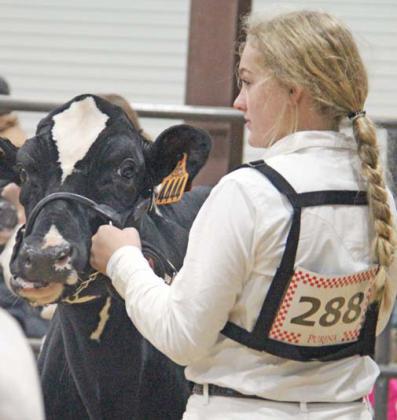 intermediate Dairy showmanship winner Ariana Werkman who competed in Monday's dairy show at the Erath County Jr. Livestock Show.