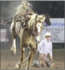 Round up at the rodeo