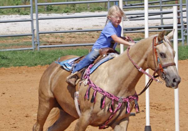 Double N celebrates with Family Fun Day
