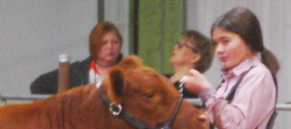 Big Winners at the Stock Show