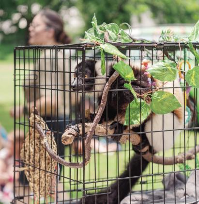 Summer Reading draws visitors out of shells