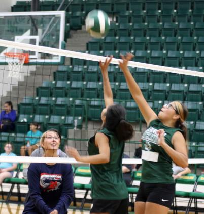 Lady Lions sharpen claws in alumni games