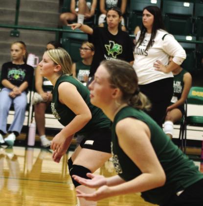 Lady Lions sharpen claws in alumni games