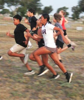 Dublin XC starts on right foot