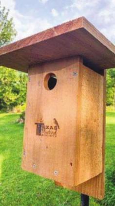 Nestboxes like this will be on sale Saturday at the Dublin Market Days at Wright Historic Park to provide a place for native bluebirds to nest. | submitted photos