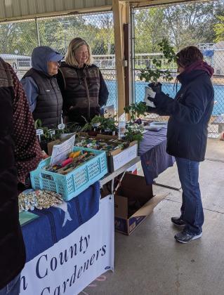 Market Day memories