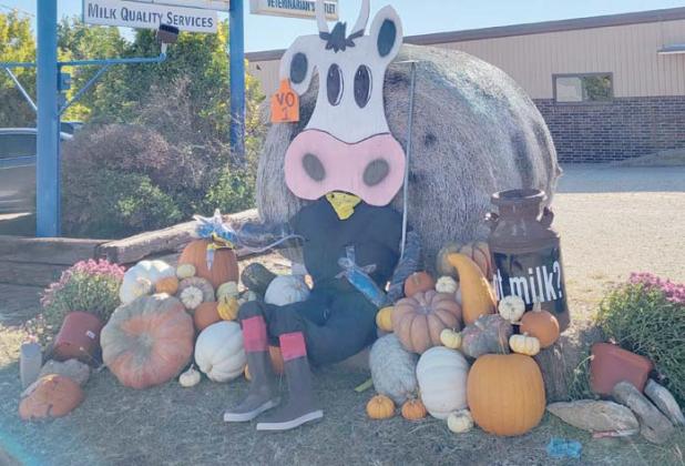 Scare “cow” at Vetrinarians Outlet (975 N. Patrick Street)