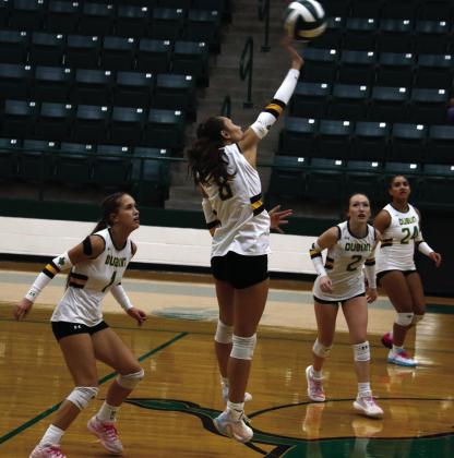 Lady Lions scrap in home battles