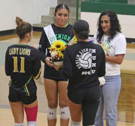 Dublin Lady Lions Volleyball Senior