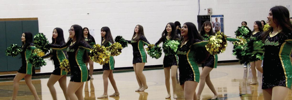 Dublin Lions (top to bottom) help their classes cheer during the Friday, Oct. 9 pep rally which also included performances by the cheerleaders and Dand-Lions drill team. Wyndi Veigel-Gaudette | Citizen staff photos