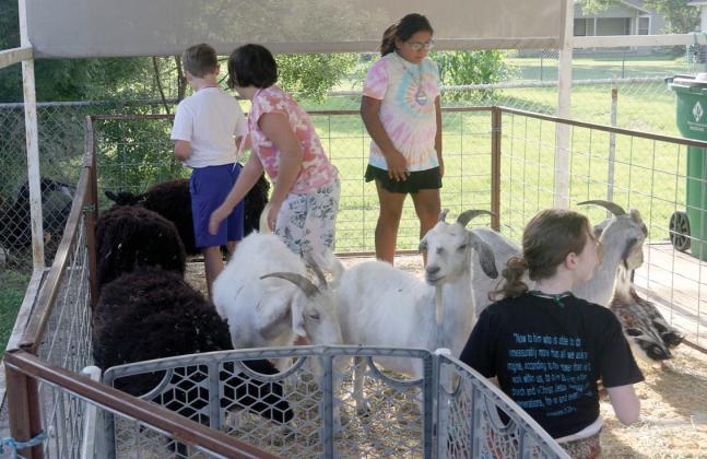 Kids enjoy a petting zoo provided by Brandi Hoffman at the Patrick Street Church of Christ’s Vacation Bible School. The VBS taught kids about God’s creations and was held June 18-20 featuring snacks, crafts, animal fun and of course, Bible lessons. Wyndi Veigel-Gaudette | Citizen staff photos
