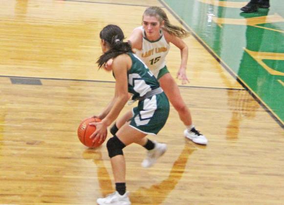 Dublin Lady Lion Madilyn Loper stares down a Santo Lay Wildcat during the Nov. 15 home game in the Roy &amp;amp; Lynn Neff Gym. Paul Gaudette | Citizen staff photo