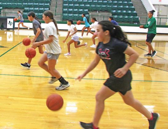 Lions, Ladies claim wins on court