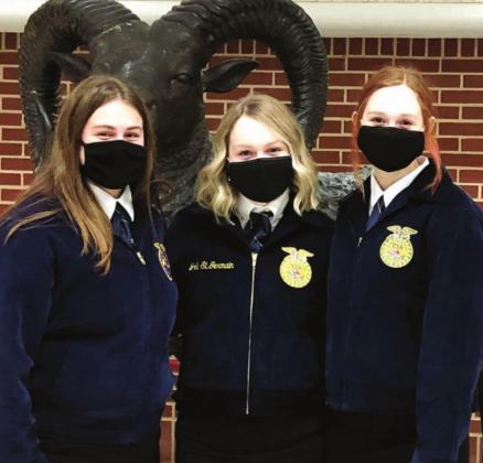 Dublin FFA sending team to state, places high at Area