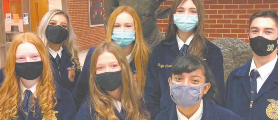 Dublin FFA sending team to state, places high at Area