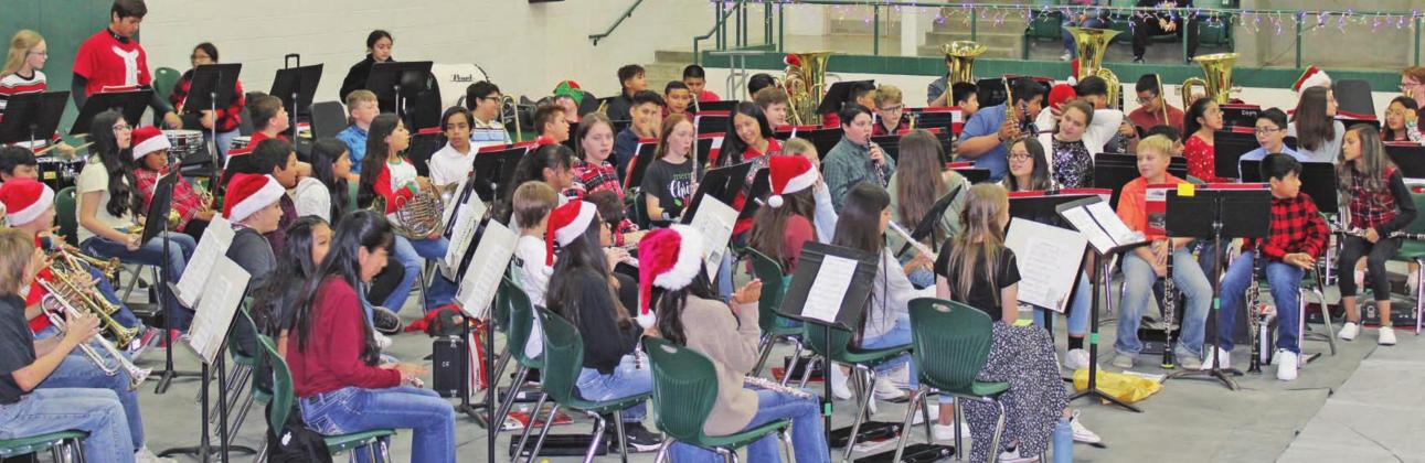 Dublin Bands stage sounds of the season