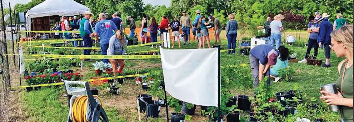 The Erath County Master Gardeners had their annual Spring Plant Sale at AgriLife in Stephenville April 26. Cindy Combs | Citizen staff photo