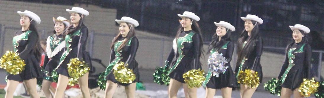 The Dublin Dand-Lions and Sound of Dublin Band take the field during halftime at the playoff game Friday, Nov. 15 at Springtown. Paul Gaudette | Citizen staff photoss