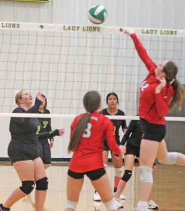 Paul Gaudette | Citizen staff photos The JV Lady Lions volleyball teams took on the Eastland Lady Mavs in games Friday, Oct. 25. Check the Dublin Citizen Facebook for additional pictures in the coming week.