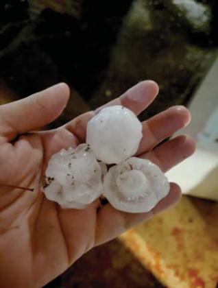 Golf ball size hailstones pelted the area Saturday night causing damage to trees and some damage to roofs. Wyndi Veigel-Gaudette | Citizen staff photo