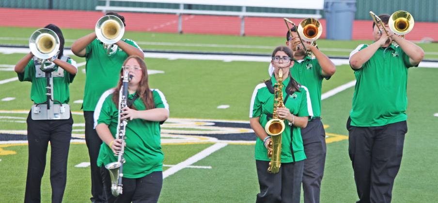 Sound of Dublin at Bradberry Marching Classic