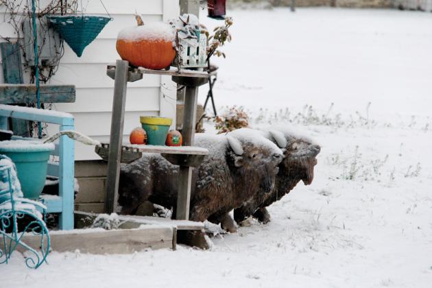 SNOW DAY!