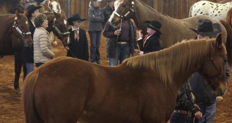 A wide range of horses and competitors participated in this year’s horse show which kicked off the annual week of the Erath County Junior Livestock Show Sunday, Jan. 4. Paul Gaudette | Citizen staff photo