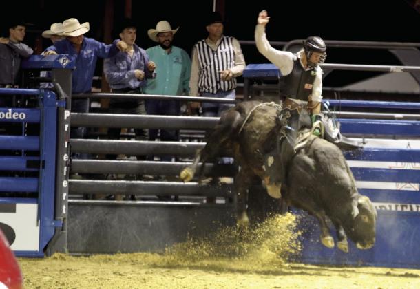 Rodeo fury & friends